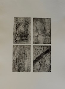 Radierung | 40x50 | 2013 